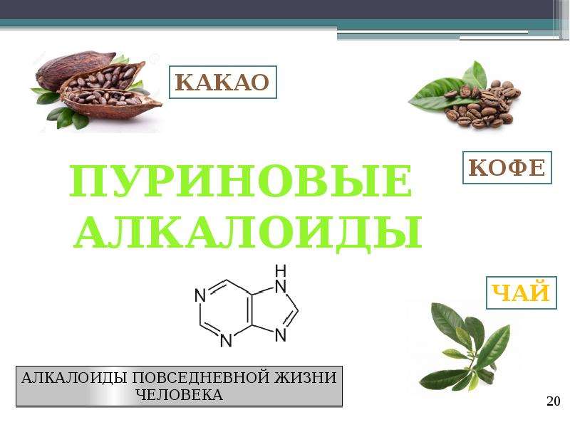 Как действуют алкалоиды на организм